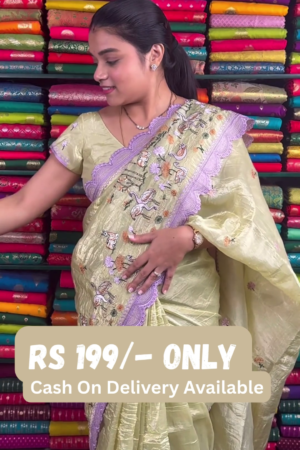 Elegant Embroidered Organza Saree – 4 Color Variants