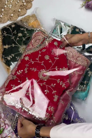 Premium Heavy Embroidered Velvet Readymade Designer Blouse Collection