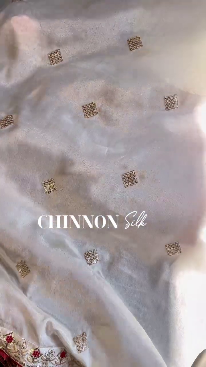 Pristine White Patola Fusion Heritage Set - Image 4