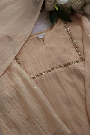 Elegant Embroidered Pleated Kurta Set