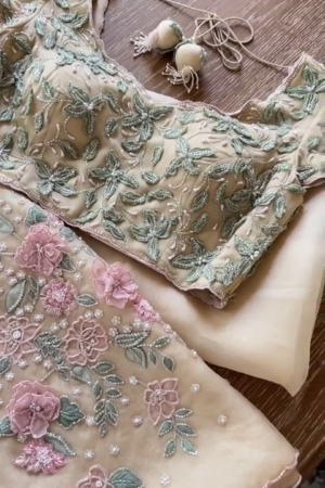 Pastel Peach Embroidered Net Blouse & Dupatta Set