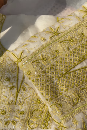 Ivory and Gold Floral Embroidered Organza Suit Set