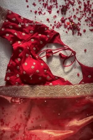 Radiant Crimson Silk Embellished Saree – A Masterpiece of Festive Elegance