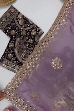 Opulent Sequin-Embroidered Saree with Heavily Embellished Blouse – Available in Sky Blue & Maroon