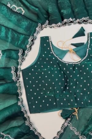 Emerald Radiance Stone-Embellished Organza Saree & Sleeveless Blouse Set