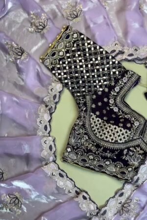 Opulent Velvet Mirror-Work Blouse & Organza Saree Set
