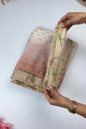 Ethereal Embroidered Ombré Organza Saree – Available in Peach, Lilac, and Mint Green