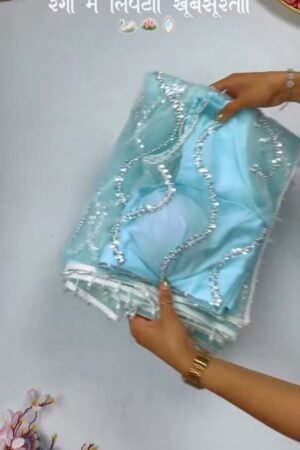 Ethereal Sequinned Organza Saree Set – Available in Serene Sky Blue & Vibrant Fuchsia Pink