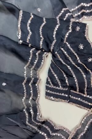 Midnight Radiance Embellished Saree and Blouse Set – Available in Black